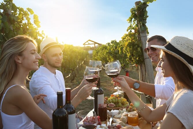 SEMI-PRIVATE CHIANTI EXPERIENCE: WINE TASTINGS AND DINNER IN THE VINEYARD
