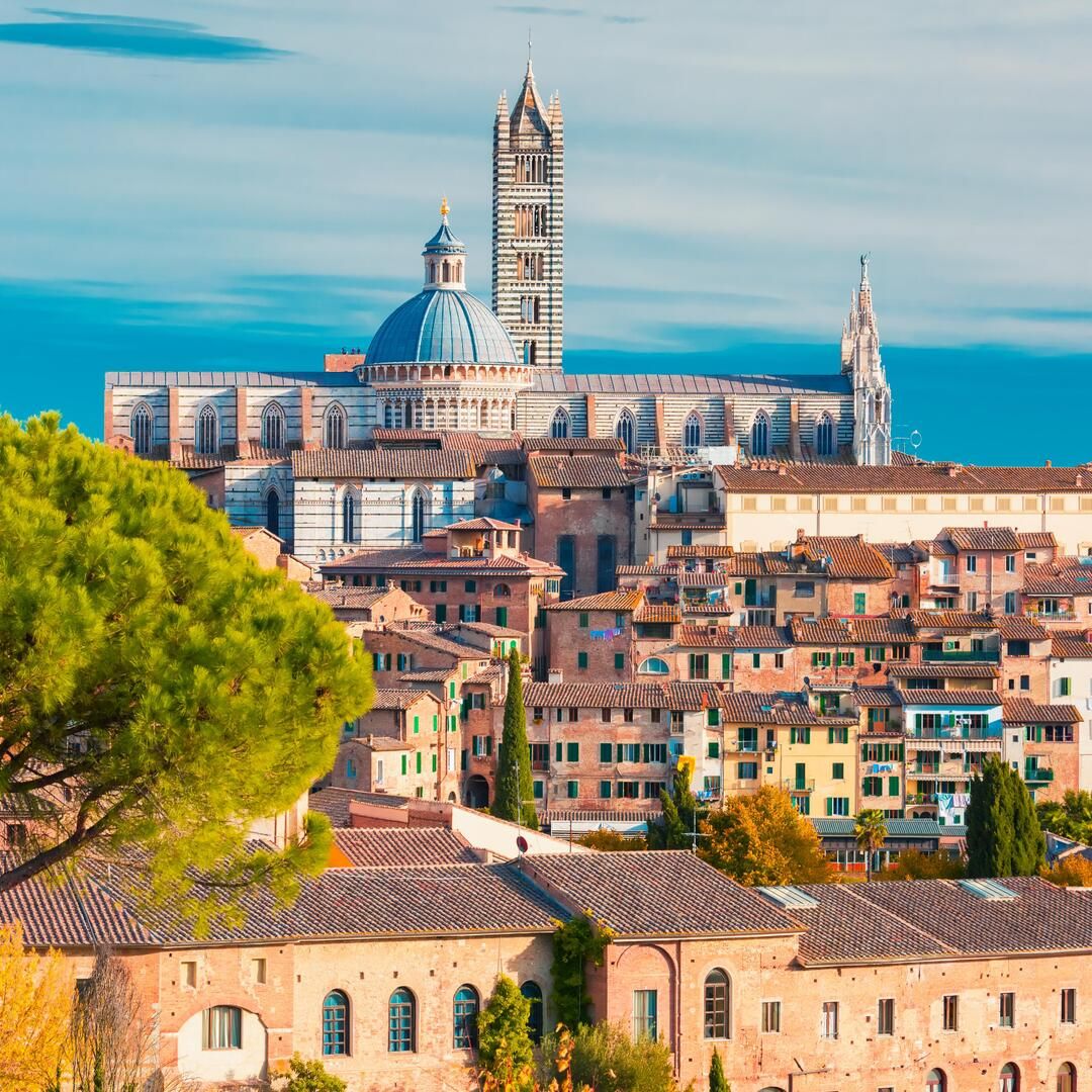 TUSCANY'S GEMS: FULL DAY PRIVATE TOUR TO PISA, SIENA AND SAN GIMIGNANO