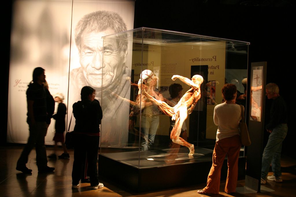 BODY WORLDS Amsterdam